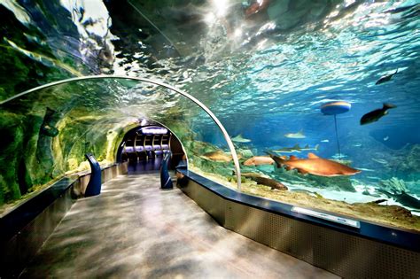 istanbul aquarium nerede